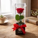 Rosa Eterna Vermelha Box