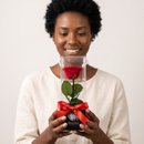 Rosa Eterna Vermelha Box