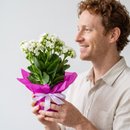 KALANCHOE PRESENTE