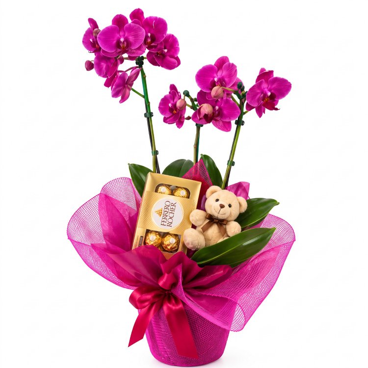 ORQUÍDEAS EMBRULHADA PRESENTE