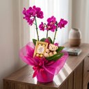 ORQUÍDEAS EMBRULHADA PRESENTE