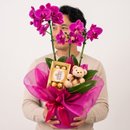 ORQUÍDEAS EMBRULHADA PRESENTE
