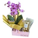 Cesta Carinho em Flor