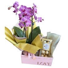 Cesta Carinho em Flor