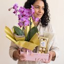 Cesta Carinho em Flor