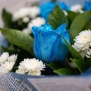 Buquê Amor Classico Com 6 Rosas Azuis