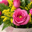 Buquê Amor Classico Com 6 Rosas Pink