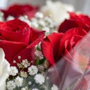 Buquê Clássico Com 6 Rosas Brancas e 6 Rosas Vermelhas