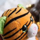 Caixa Tigre