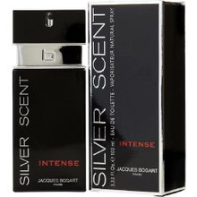 Perfume Masculino Silver Scent Intense EDT 100 ml