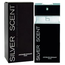 Perfume masculino Silver Scent EDT 100 ml