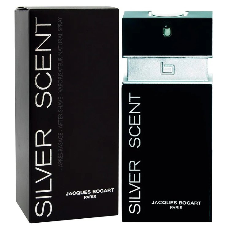Perfume masculino Silver Scent EDT 100 ml