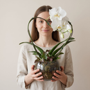 Orquidea Phalaenopiss Branca de Coração