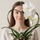 Orquidea Phalaenopiss Branca de Coração