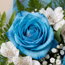 Buquê de 3 Rosas Azuis 