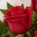 Clássico 6 Rosas Vermelhas