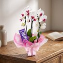 Arranjo com Orquídea
