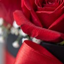 Box Apaixonante de Rosas - Arranjo Floral 