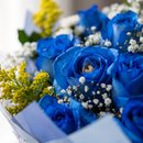 Buquê Sonho Azul