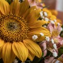 Buquê Girassóis e Alstromérias