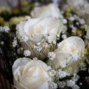 Buquê 15 Rosas Brancas 
