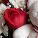 Buquê Rosas e Ursinho