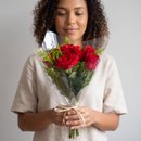 Buque Red 6 Rosas