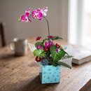 Arranjo de orquídea na box