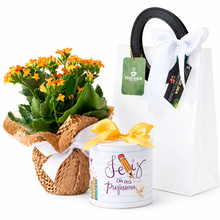 CESTA UM CARINHO COM KALANCHOE