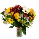 Lindo Arranjo Mix de Flores
