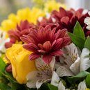Lindo Arranjo Mix de Flores