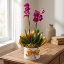 Linda Orquídea marsala com decoração dourada