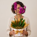 Linda Orquídea marsala com decoração dourada