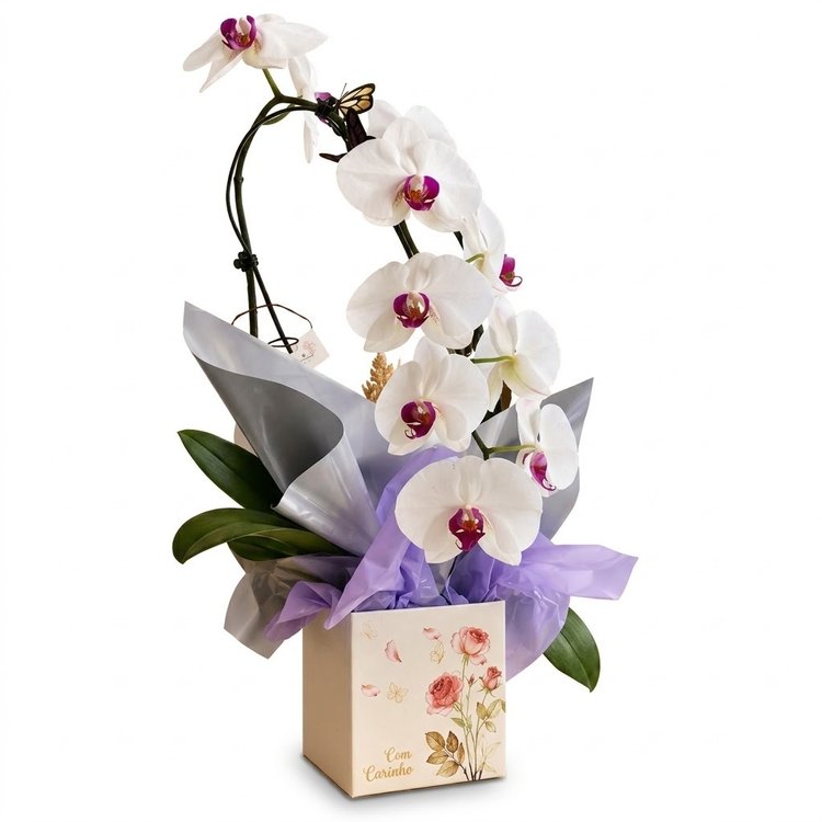 Orquídea Branca dos Sonhos