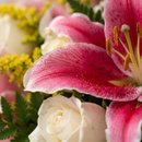 Buquê Lírio Rosa e Rosas Brancas