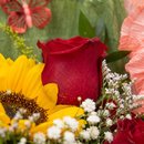Buquê Girassol e Rosas Radiantes
