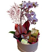 Flower box orquidea e vinho.