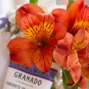 Cesta Bem-Estar Vinho & Flores