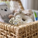 Cesta Boas-Vindas Baby