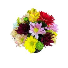 Despertar de Alegria