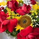 Buque em Girassol e Rosas 