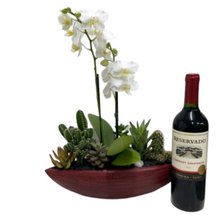 Canoa Bordô Mini Orquídea Cactos Suculentas e Vinho