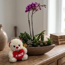 Canoa Aço Mini Orquídea cactos suculentas e Urso