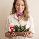 Canoa Aço Mini Orquídea cactos suculentas e Urso