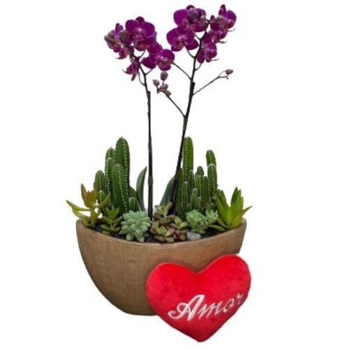 Arca Aço, Orquídea, Mini Coração