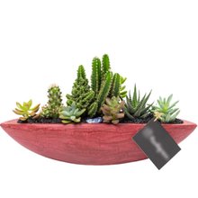 Canoa Bordô Cactos e Suculentas 