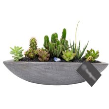 Canoa Grafite Cactos e Suculentas