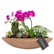 Canoa Aço Corten Mini Orquídea, Cactos e Suculentas
