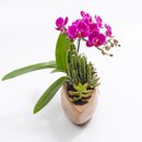 Canoa Aço Corten Mini Orquídea, Cactos e Suculentas