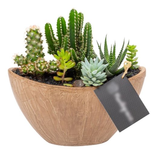 Arca Aço Corten Cactos e Suculentas